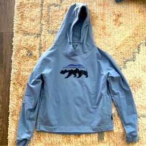 Patagonia Fitz Roy Bear Uprisal hoodie.